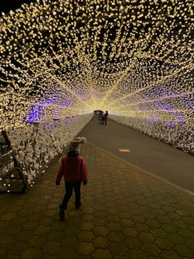 東京メガイルミに投稿された画像（2020/11/30）