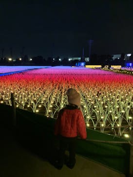 東京メガイルミに投稿された画像（2020/11/30）