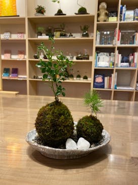 伊勢夫婦岩めおと横丁　めおと岩アクティビティに投稿された画像（2020/11/30）