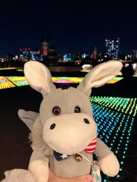 東京メガイルミに投稿された画像（2020/11/30）