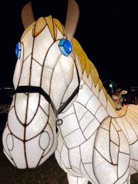 東京メガイルミに投稿された画像（2020/11/30）