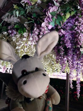 東京メガイルミに投稿された画像（2020/11/30）