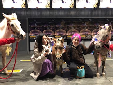 東京メガイルミに投稿された画像（2020/11/30）