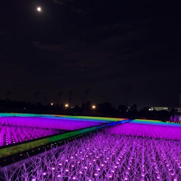 東京メガイルミに投稿された画像（2020/11/30）