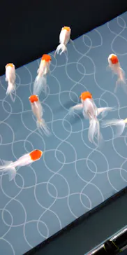 すみだ水族館に投稿された画像（2020/11/30）