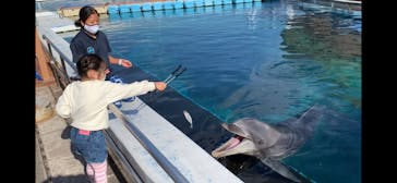 横浜・八景島シーパラダイスに投稿された画像（2020/11/30）