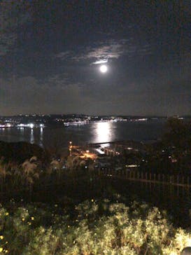 江の島シーキャンドルに投稿された画像（2020/11/30）