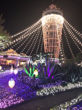 江の島シーキャンドルに投稿された画像（2020/11/30）