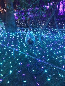 江の島シーキャンドルに投稿された画像（2020/11/30）