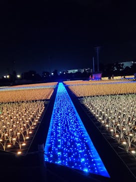 東京メガイルミに投稿された画像（2020/11/30）