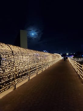 東京メガイルミに投稿された画像（2020/11/30）