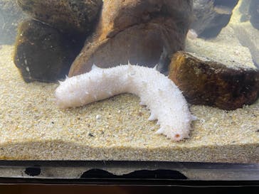 京都水族館に投稿された画像（2020/11/30）