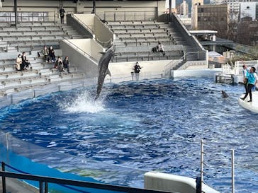 京都水族館に投稿された画像（2020/11/30）