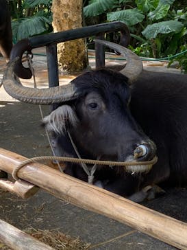 ビオスの丘に投稿された画像（2020/11/30）