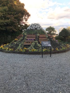 伊豆パノラマパークに投稿された画像（2020/11/30）