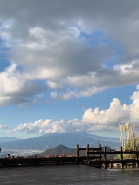 伊豆パノラマパークに投稿された画像（2020/11/30）