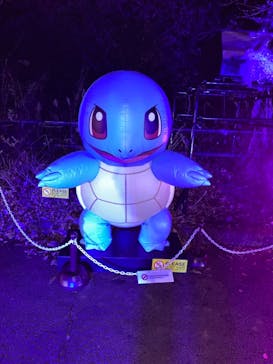 さがみ湖MORI MORIに投稿された画像（2020/11/30）