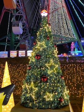 さがみ湖MORI MORIに投稿された画像（2020/11/30）