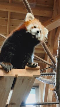 伊豆シャボテン動物公園に投稿された画像（2020/11/30）