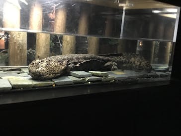 京都水族館に投稿された画像（2020/12/1）