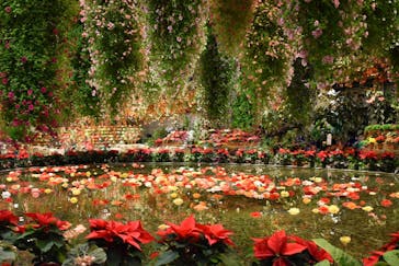 なばなの里に投稿された画像（2020/12/1）