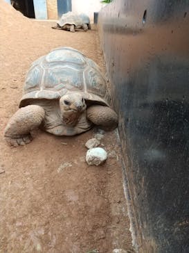 体感型動物園iZooに投稿された画像（2020/12/1）