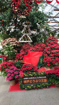 神戸どうぶつ王国に投稿された画像（2020/12/1）