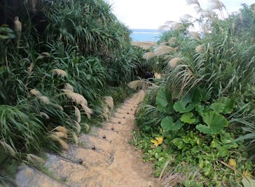 MalDive（モルダイブ）に投稿された画像（2020/12/1）