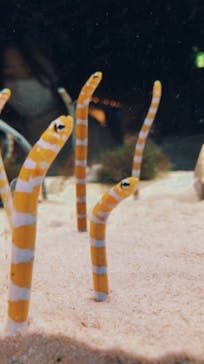 京都水族館に投稿された画像（2020/12/1）