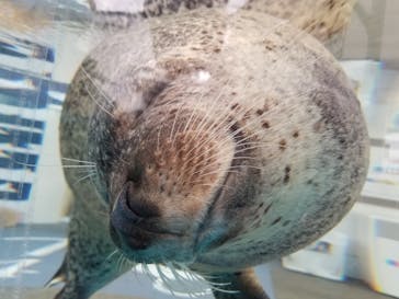 京都水族館に投稿された画像（2020/12/1）