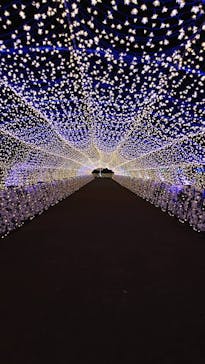 東京メガイルミに投稿された画像（2020/12/1）