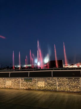 東京メガイルミに投稿された画像（2020/12/1）