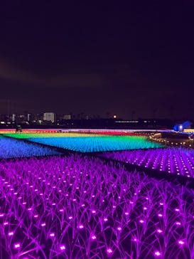 東京メガイルミに投稿された画像（2020/12/1）