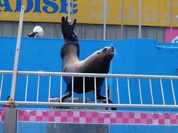 ゼロ距離水族館 伊勢シーパラダイスに投稿された画像（2020/12/1）