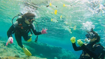 青の洞窟専門店　沖縄ダイビングショップ和に投稿された画像（2020/12/1）