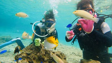 青の洞窟専門店　沖縄ダイビングショップ和に投稿された画像（2020/12/1）