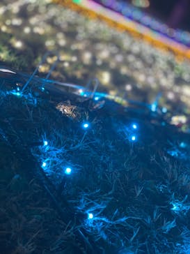 東武動物公園に投稿された画像（2020/12/1）