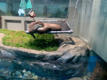 サンシャイン水族館に投稿された画像（2020/12/1）