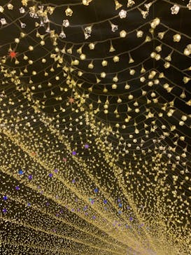 なばなの里に投稿された画像（2020/12/1）