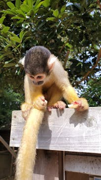 伊豆シャボテン動物公園に投稿された画像（2020/10/4）