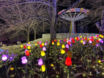 さがみ湖MORI MORIに投稿された画像（2020/12/2）