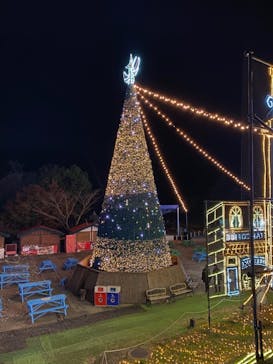 さがみ湖MORI MORIに投稿された画像（2020/12/2）