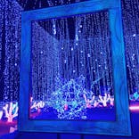 さがみ湖MORI MORIに投稿された画像（2020/12/2）