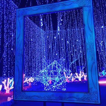 さがみ湖MORI MORIに投稿された画像（2020/12/2）