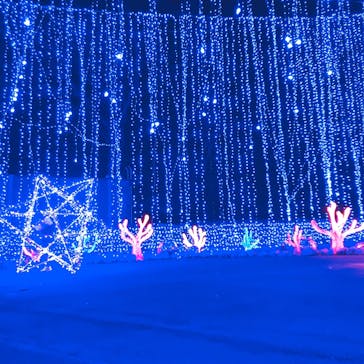 さがみ湖MORI MORIに投稿された画像（2020/12/2）