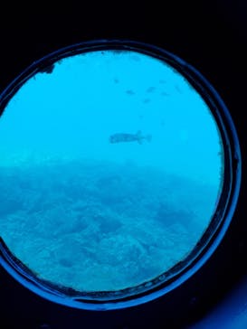 串本海中公園水族館に投稿された画像（2020/12/2）