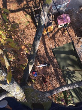 福田フルーツパークに投稿された画像（2020/12/2）