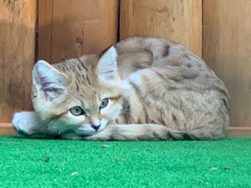 神戸どうぶつ王国に投稿された画像（2020/12/2）