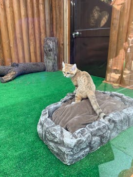 神戸どうぶつ王国に投稿された画像（2020/12/2）