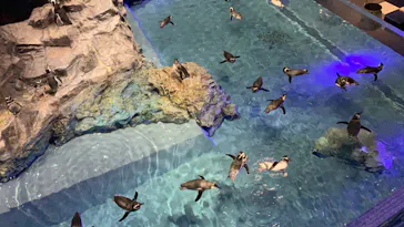 すみだ水族館に投稿された画像（2020/12/2）